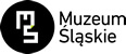 Muzeum Śląskie